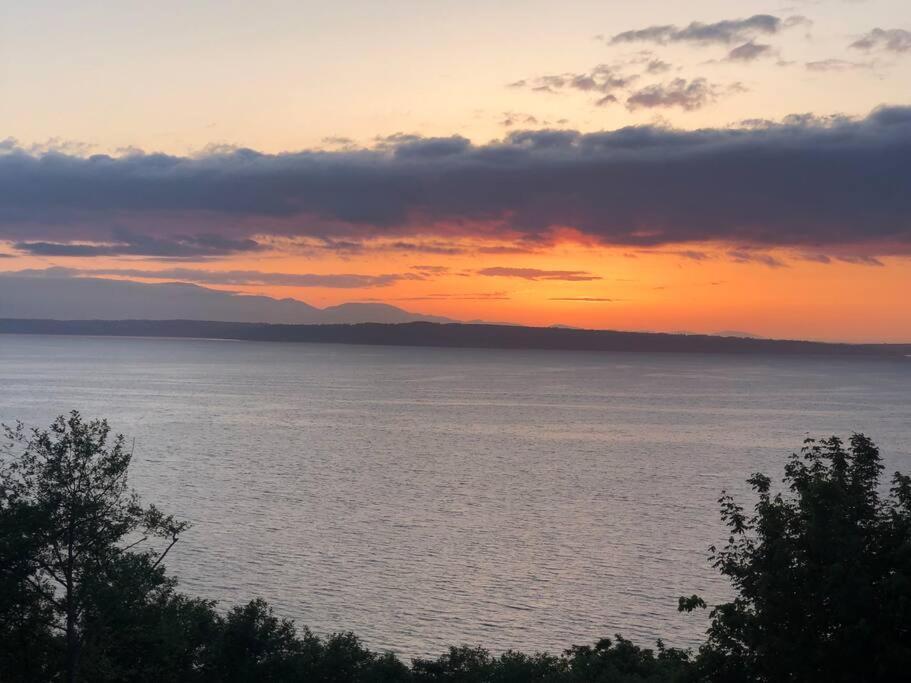 1-Bedroom Seaview Guesthouse On Seattle Luxury Estate With Views Of Olympic Mountains Buitenkant foto