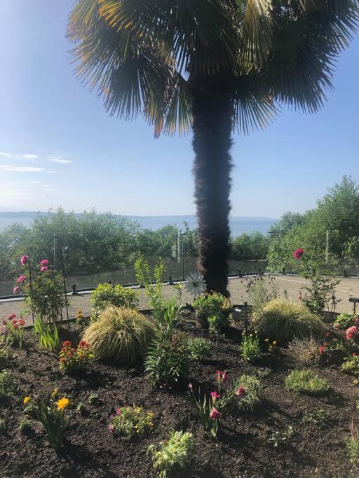 1-Bedroom Seaview Guesthouse On Seattle Luxury Estate With Views Of Olympic Mountains Buitenkant foto