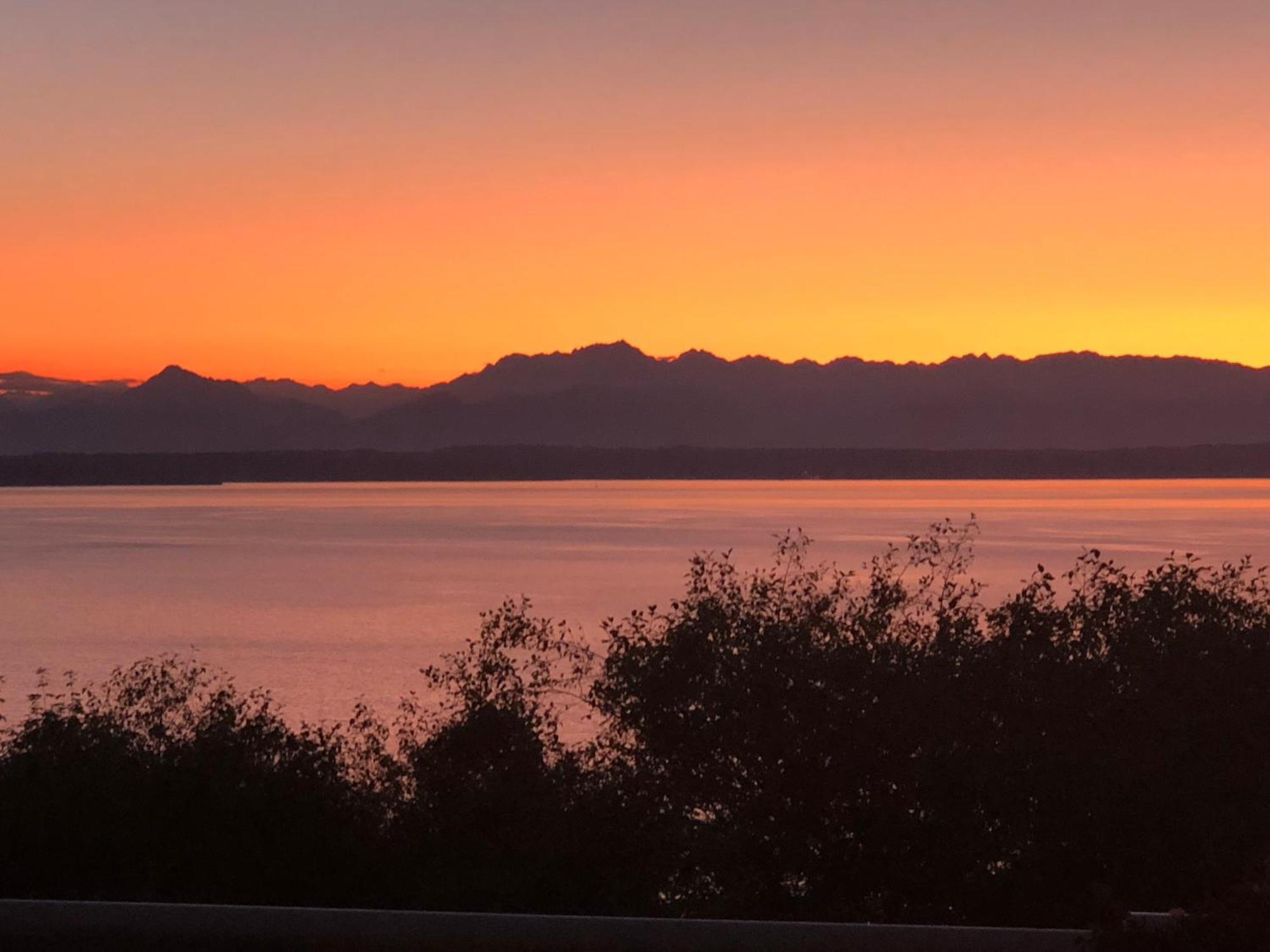 1-Bedroom Seaview Guesthouse On Seattle Luxury Estate With Views Of Olympic Mountains Buitenkant foto